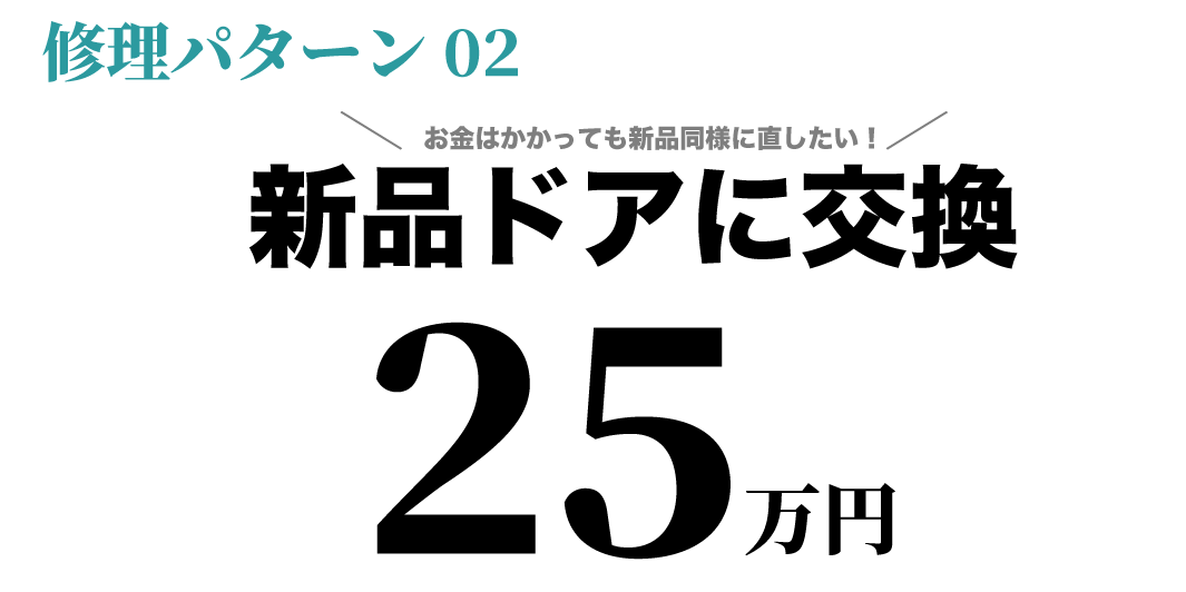 新品ドアに交換